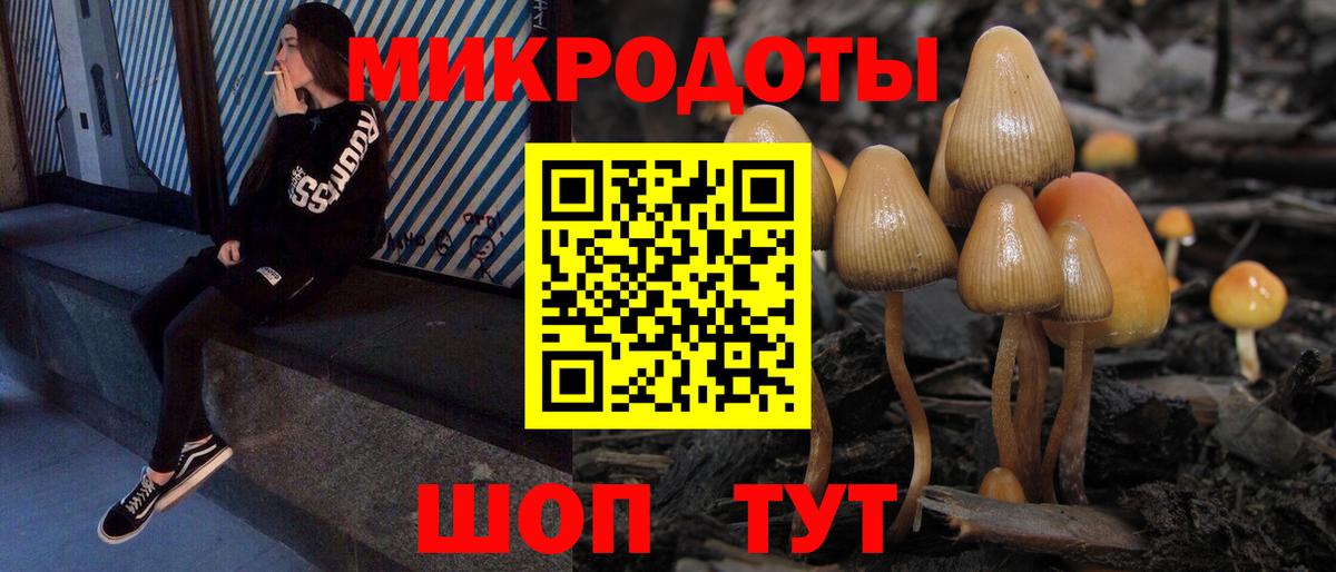 купить наркотики сайты  Псилоцибиновые грибы Magic Shrooms  Вход с VPN  Псилоцибиновые грибы Psilocybine cubensis  Рославль 